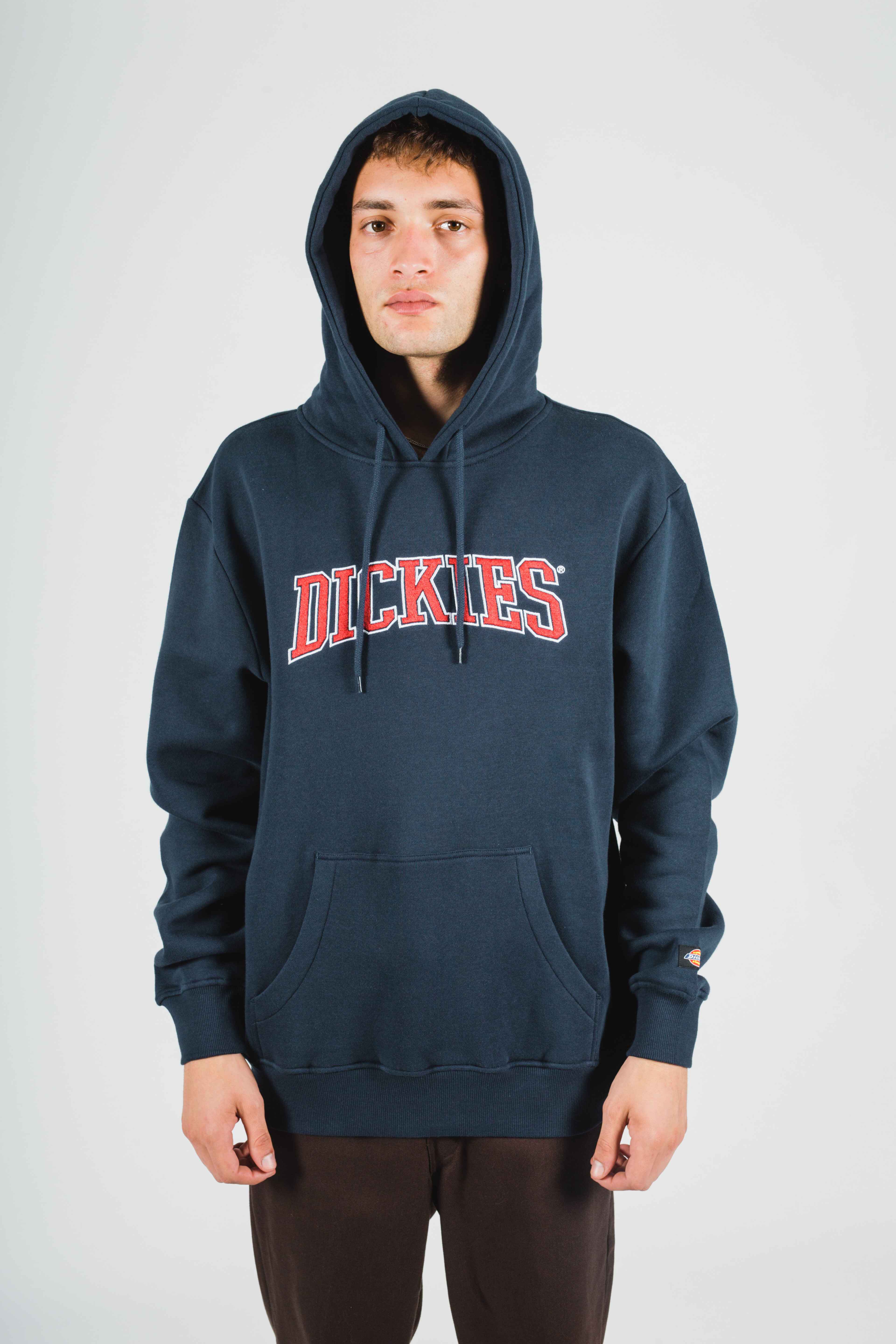 Dickies pennellville top hoodie