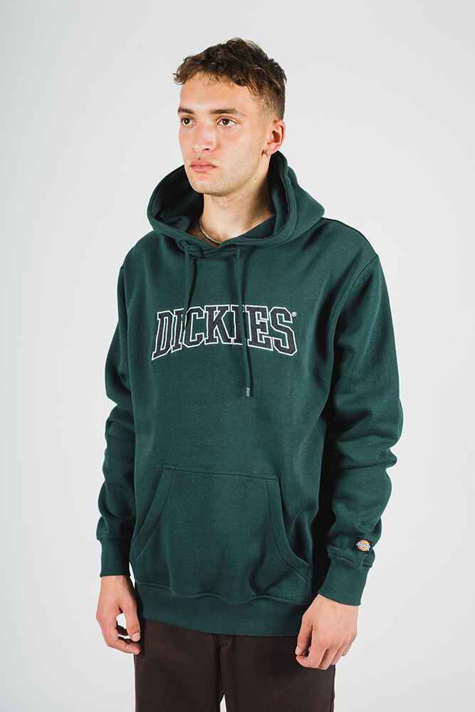 Dickies pennellville top hoodie