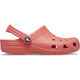 CROCS CLASSIC CLOG - NEON WATERMELLON