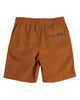 SANTA CRUZ BOYS CLASSIC DOT SWITCH ELASTIC WAIST SHORT - BROWN