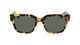 DRAGON ROWAN - TOKYO TORTOISE / LL G15