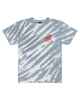 SANTA CRUZ BOYS NOT A DOT HOLLOW S/S TEE - SLATE TIEDYE