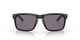 OAKLEY HOLBROOK - MATTE BLACK / PRIZM GREY