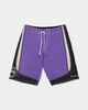 BILLABONG BOYS SPEC SYSTEMS PRO BOARDSHORT - PURPLE