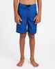 QUIKSILVER BOYS EVERYDAY BILLBOARD BOARDSHORT - MONACO BLUE