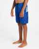 QUIKSILVER BOYS EVERYDAY BILLBOARD BOARDSHORT - MONACO BLUE