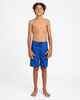 QUIKSILVER BOYS EVERYDAY BILLBOARD BOARDSHORT - MONACO BLUE